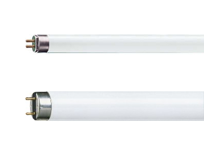Linear T8 and T5 fluorescent lamps